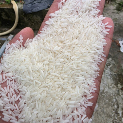 ST25 Rice – Gạo ST25