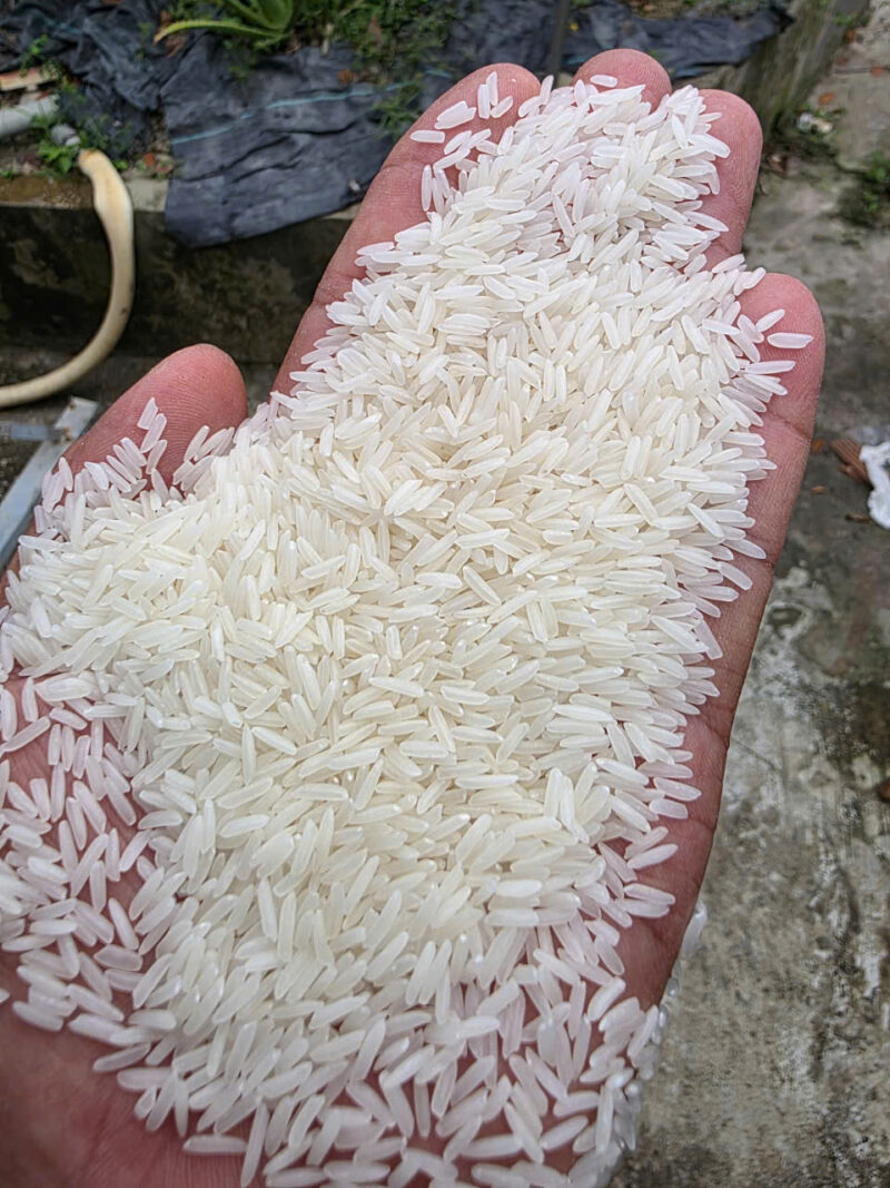 ST25 Rice – Gạo ST25