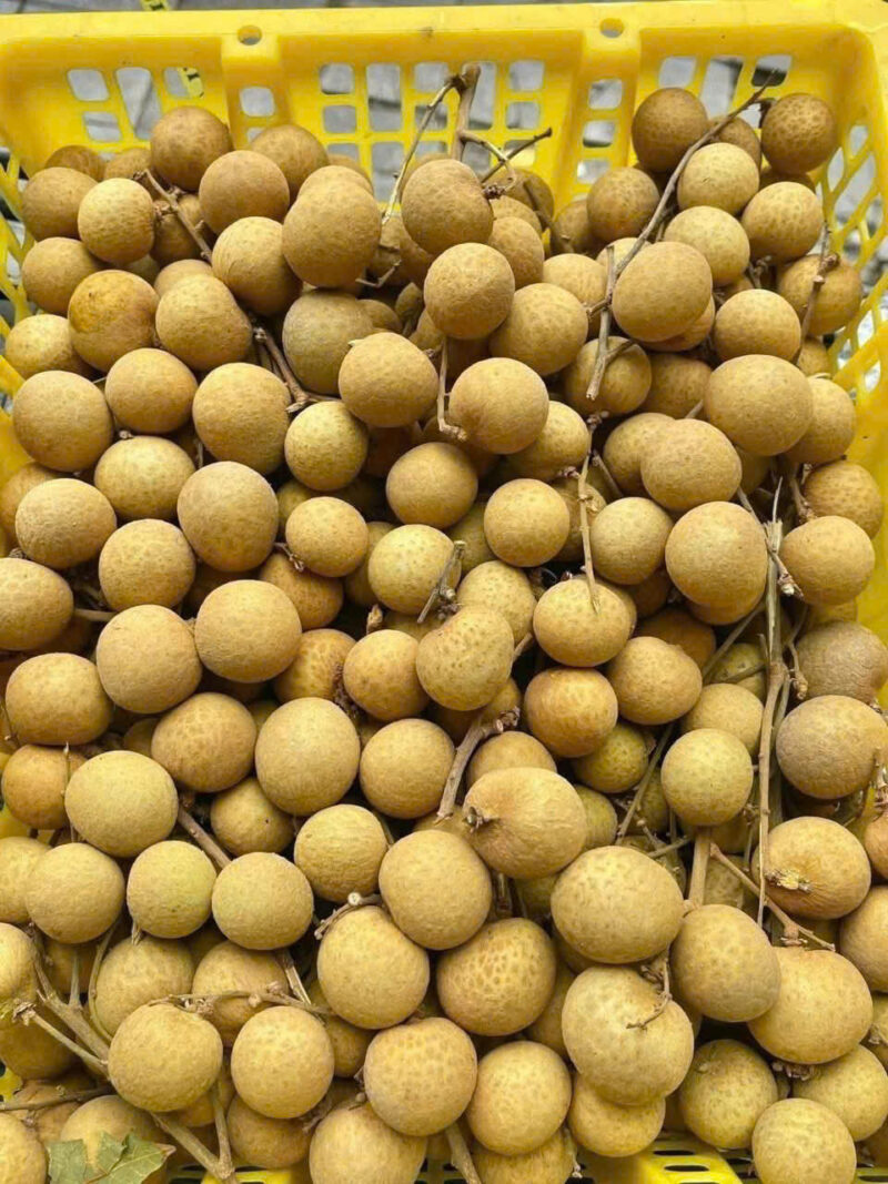 Nhãn