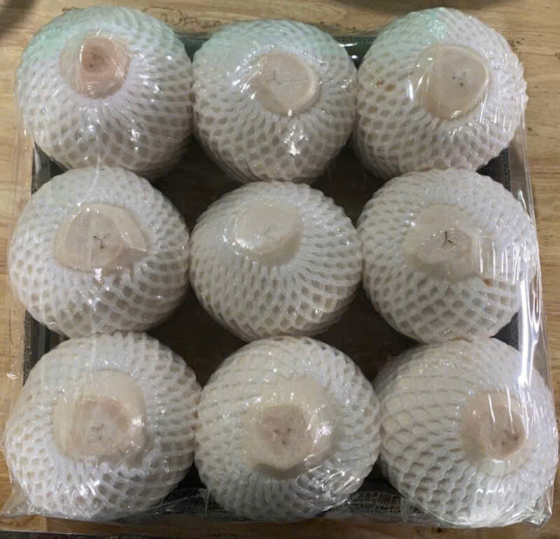 Dừa