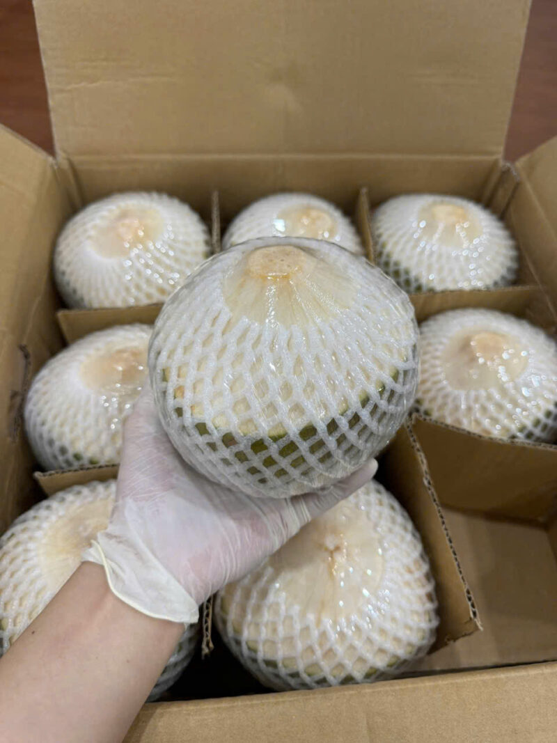 Dừa