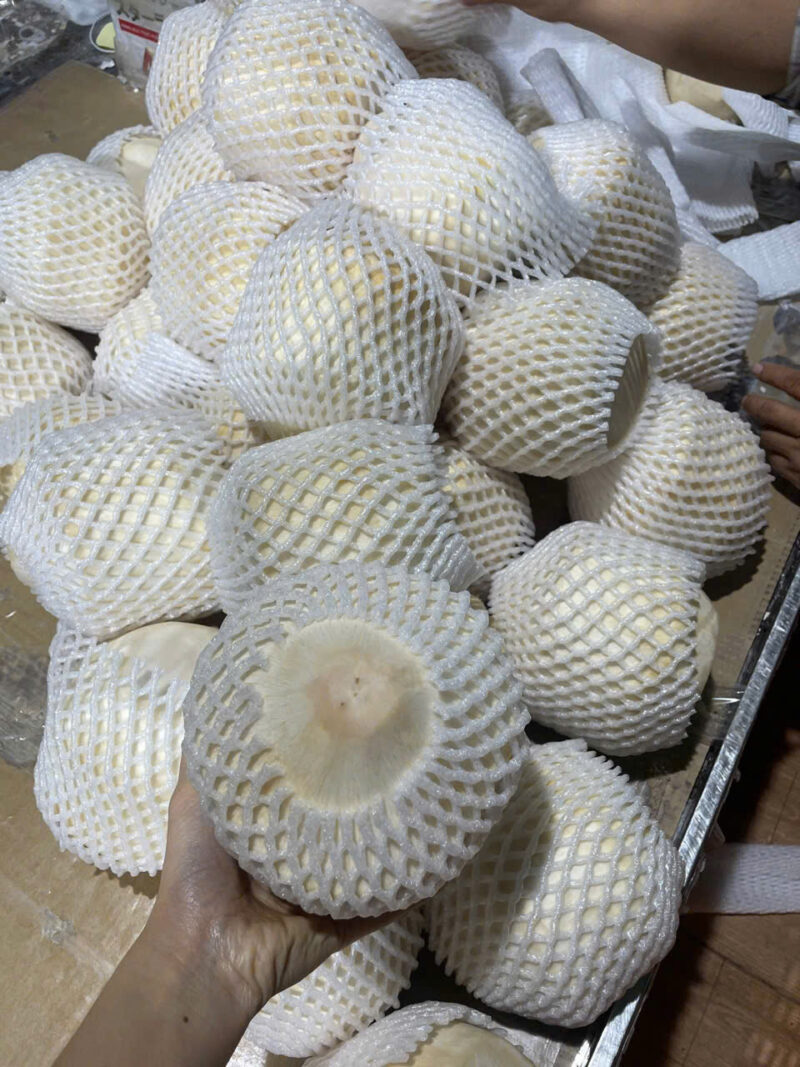 Dừa