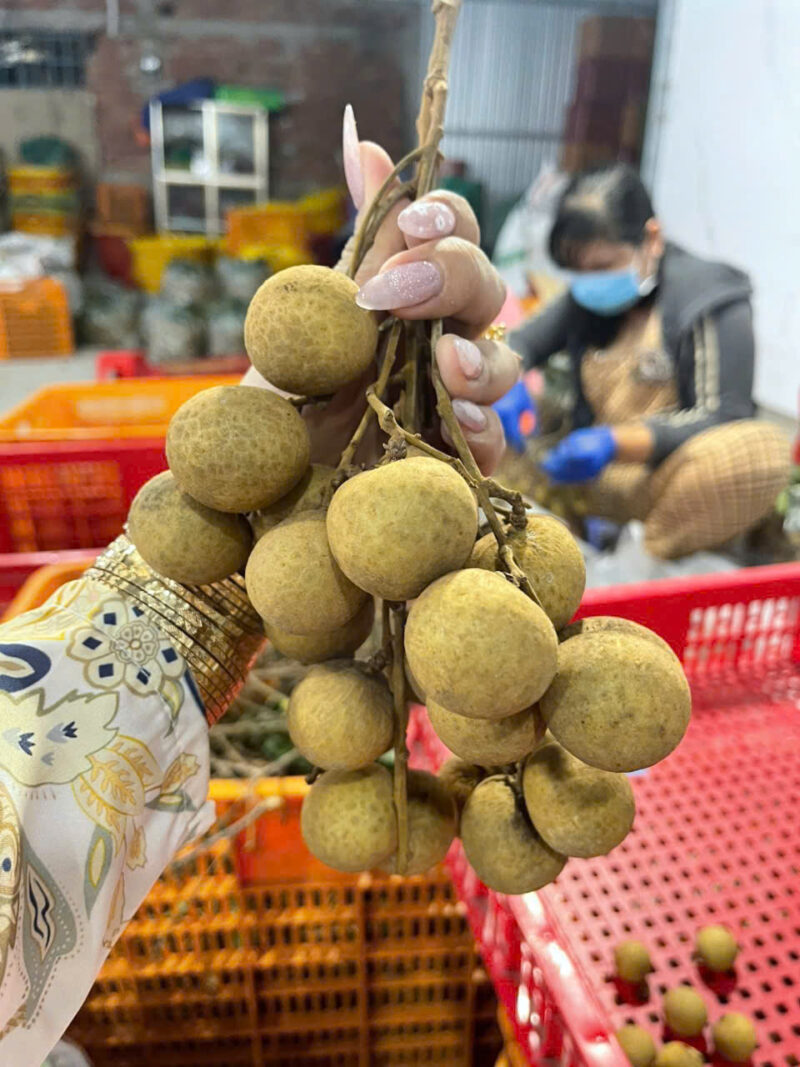 Nhãn