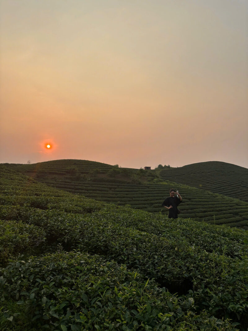 Sản phẩm chè xanh
